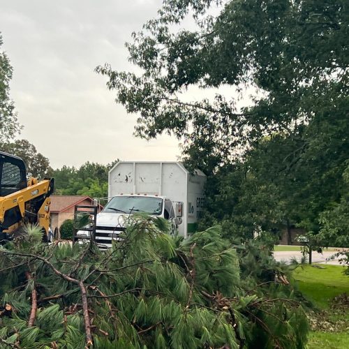 Tree Removal Project 9