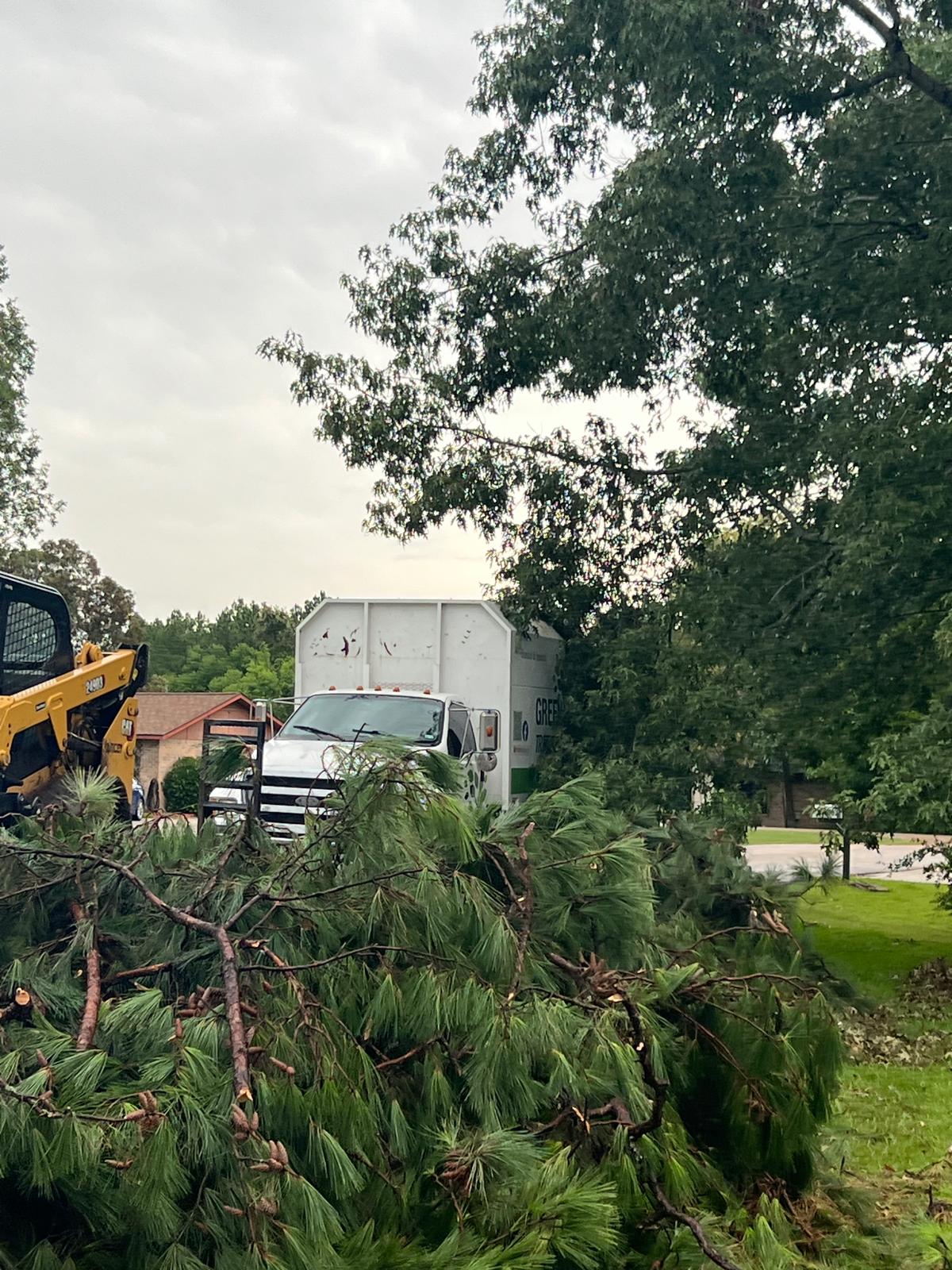 Tree Removal Project 14