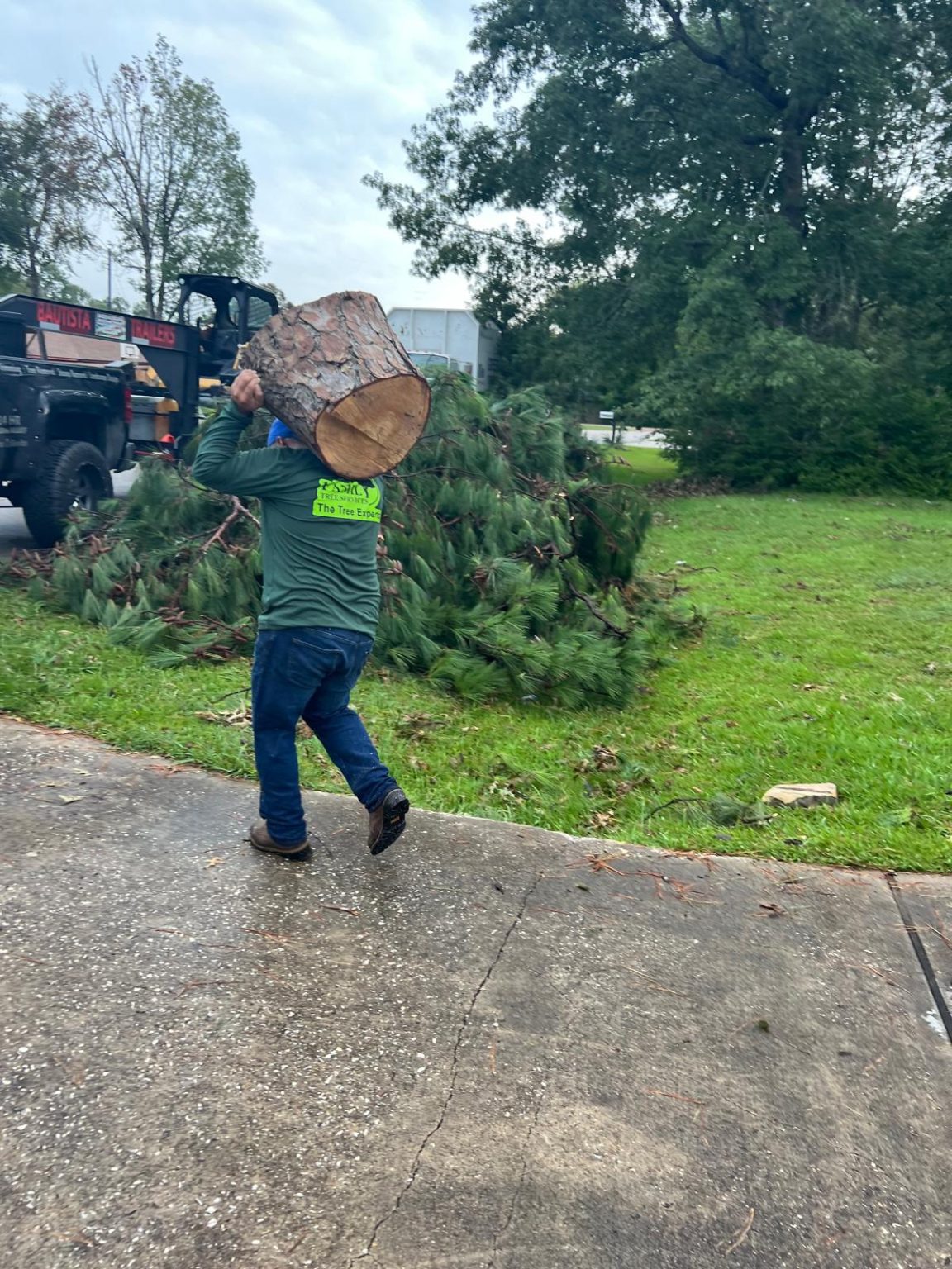 Green Tech Tree Service project