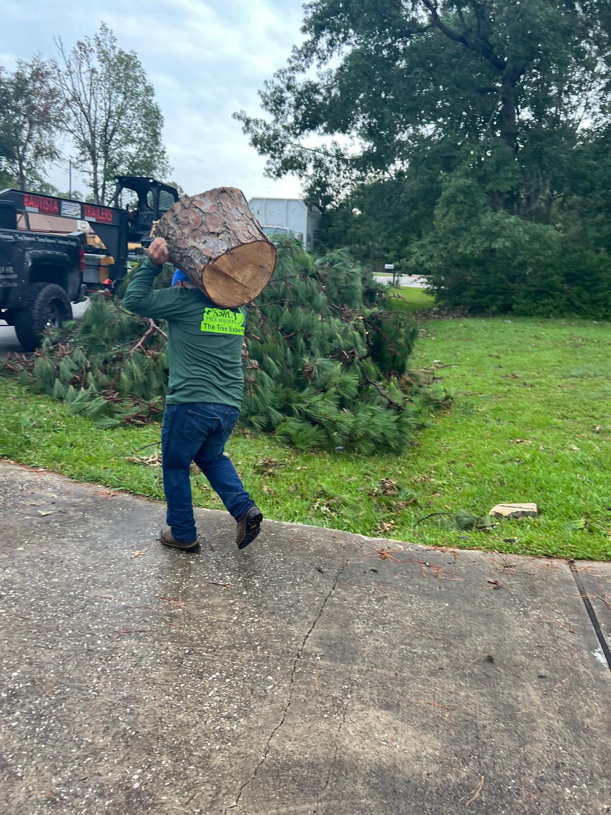 Storm Removal Project 4