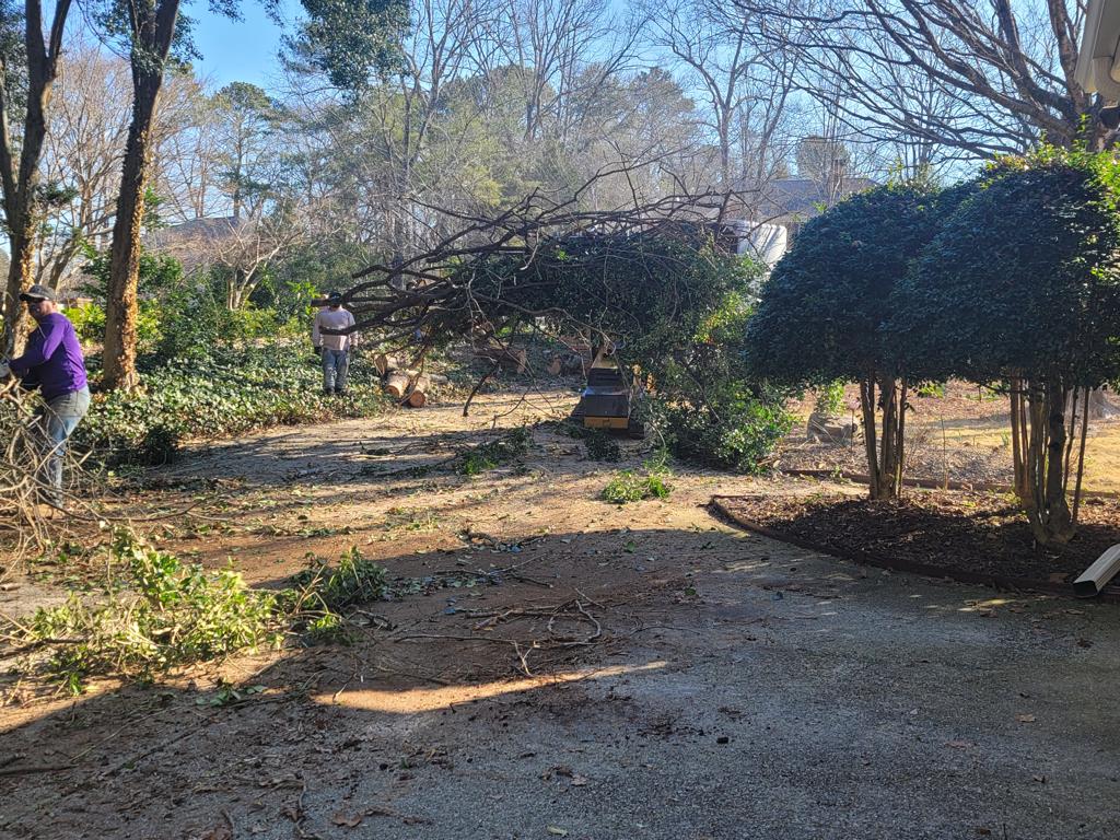 Tree Service in Houston, TX