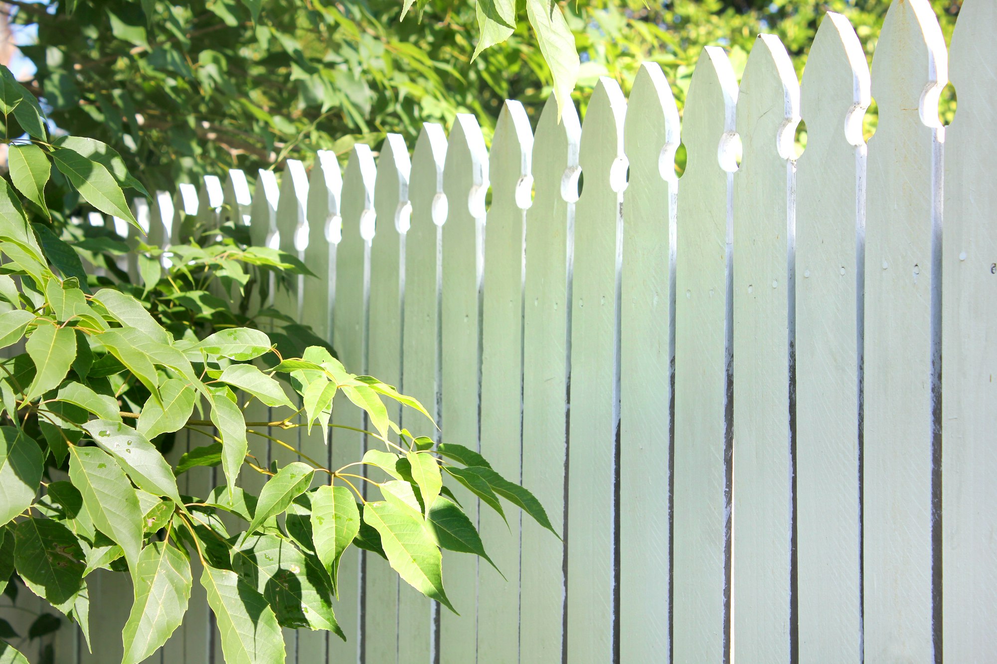 Fences in Houston, TX