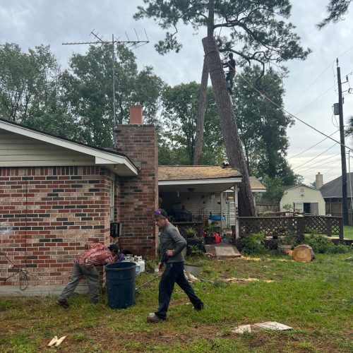 Tree service in Houston TX, Tree Trimming in Houston TX, Stump Grinding in Houston TX, Stump Removal in Houston TX, Tree Removal in Houston TX, General Landscaping S (6)