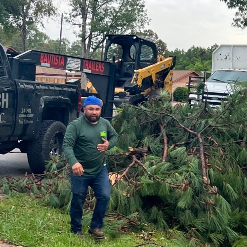 Tree service in Houston TX, Tree Trimming in Houston TX, Stump Grinding in Houston TX, Stump Removal in Houston TX, Tree Removal in Houston TX, General Landscaping S (9)