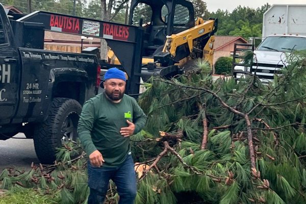 Tree service in Houston TX, Tree Trimming in Houston TX, Stump Grinding in Houston TX, Stump Removal in Houston TX, Tree Removal in Houston TX, General Landscaping S (9)